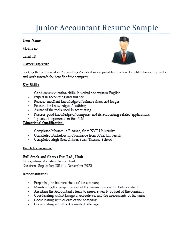 Junior Accountant Resume Format
