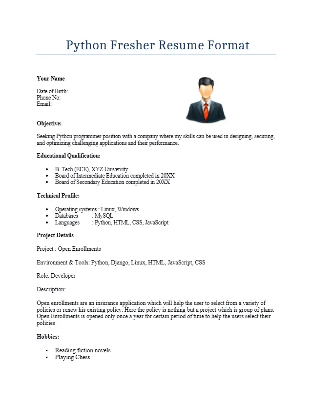 Python Fresher Resume Format 